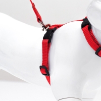 Комплект для кошек, ширина 1 см, ОШ 16,5-27 см, ОГ 21-35 см, поводок 120 см, красный