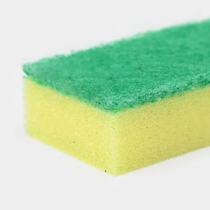 Набор губок для посуды с чистящим слоем Доляна &laquo;Эконом&raquo;, 7.5&times;4.5&times;2.5 см, 10 шт.