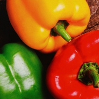 Ланч-бокс круглый FoodVibes &laquo;Перчики&raquo;, 500 мл