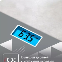 Весы электронные напольные Classic PP1534V0