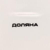 Блюдо фарфоровое для подачи Доляна &laquo;Зелёный сад&raquo;, 25&times;18,5 см, цвет белый