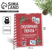 Пакет подарочный новогодний ламинированный &laquo;Полярная почта&raquo;, ML 21 х 25 х 8 см