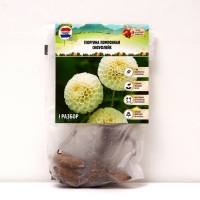 Георгина Помпонная &laquo;Сноуфлейк&raquo;, клубелуковица в упаковке, р-р см, I, 1 шт.