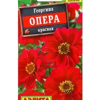 Семена цветов Георгина Опера красная , Ц/П,7 шт.