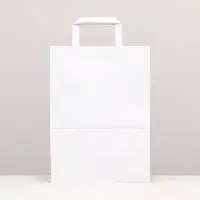 Пакет крафт без печати, белый, плоская ручка 22&times;12&times;25 см