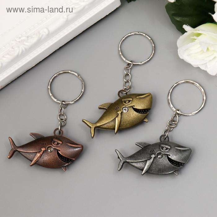 Брелок металл Брелок металл "Акула" МИКС 2,7х4,7 см