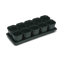 Набор для рассады: стаканы по 300 мл (10 шт.), поддон 41 &times; 17 см, цвет МИКС