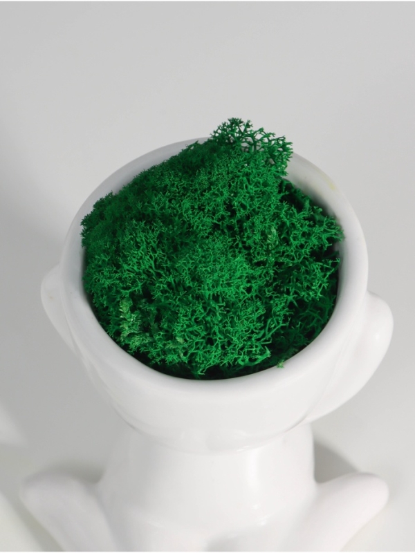 Кашпо керамика "Мистер Грин" любитель тишины 11,5*10*9 см белый