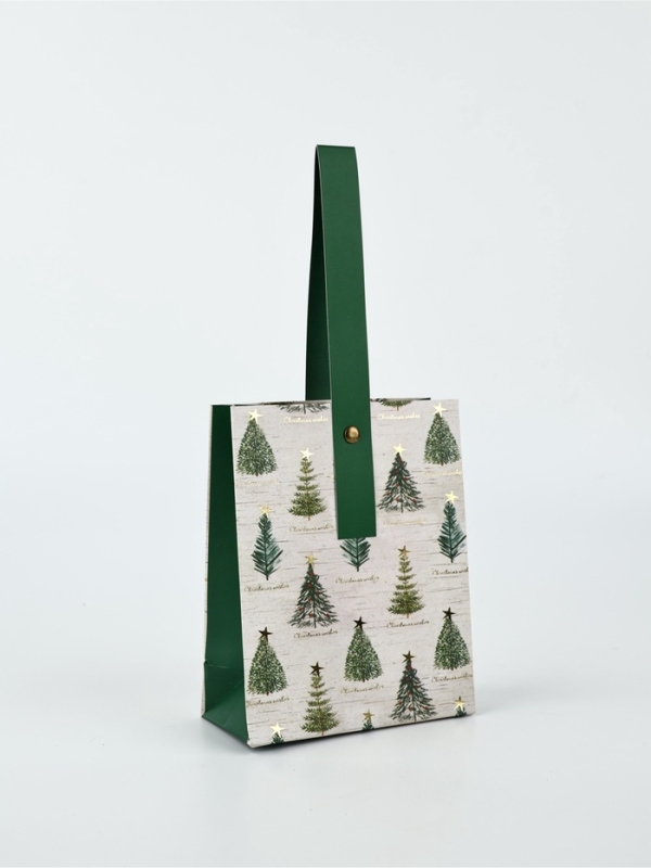 Пакет подарочный новогодний ламинированный &laquo;Новогодние мечты&raquo;, S 5.5 см х 15 см х 12 см