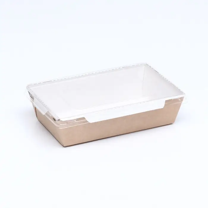 Контейнер с плоской крышкой, крафт, 0,8 л, 19 х 13 х 5,5 см