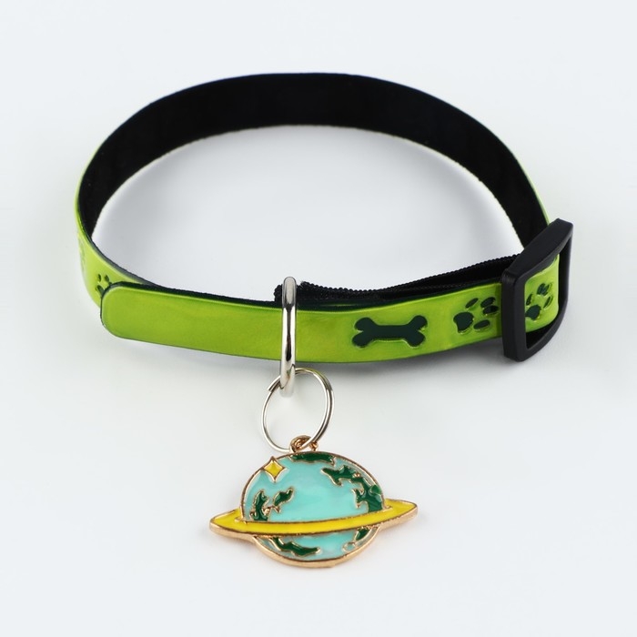 Ошейник светоотражающий &laquo;Лапки&raquo; с подвесом, 30 х 1 см, цвет зелёный