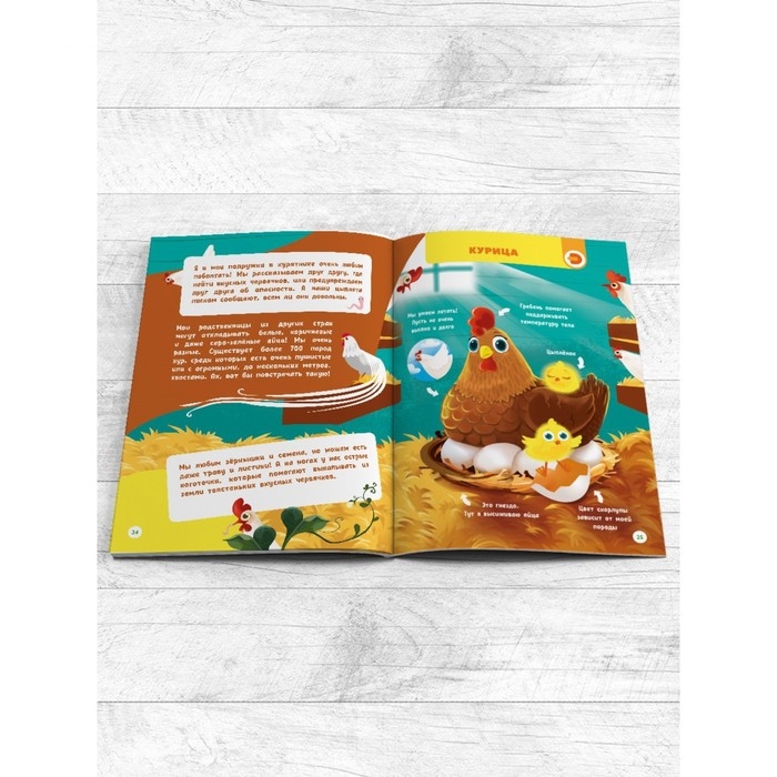 Моя первая энциклопедия «Домашние животные», твёрдый переплёт, 48 стр. Моя первая энциклопедия «Домашние животные», твёрдый переплёт, 48 стр.