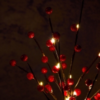 Светодиодный куст &laquo;Рябина&raquo; 45 см, 24 LED, постоянное свечение, от батареек ААх3 (не в комплекте), свечение тёплое белое