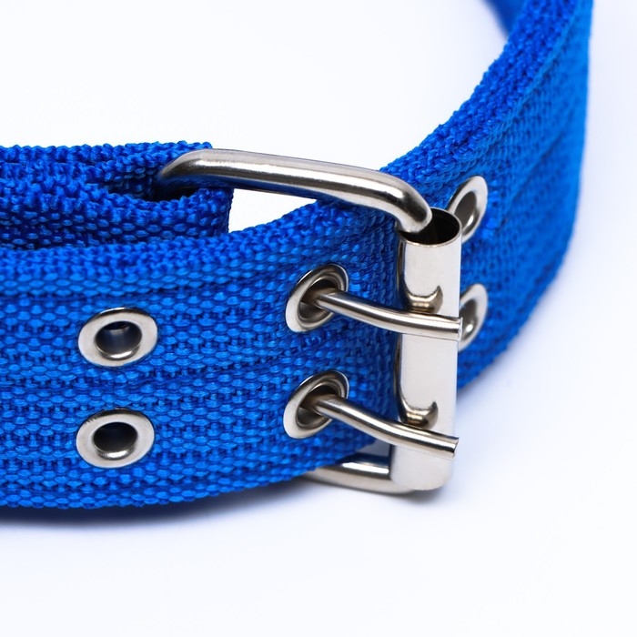 Ошейник четырехслойный, 64 х 4 см, ОШ 50-58 см, полиэстер, синий
