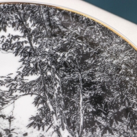 Тарелка «Пейзаж», d=21 см, фарфор Тарелка «Пейзаж», d=21 см, фарфор