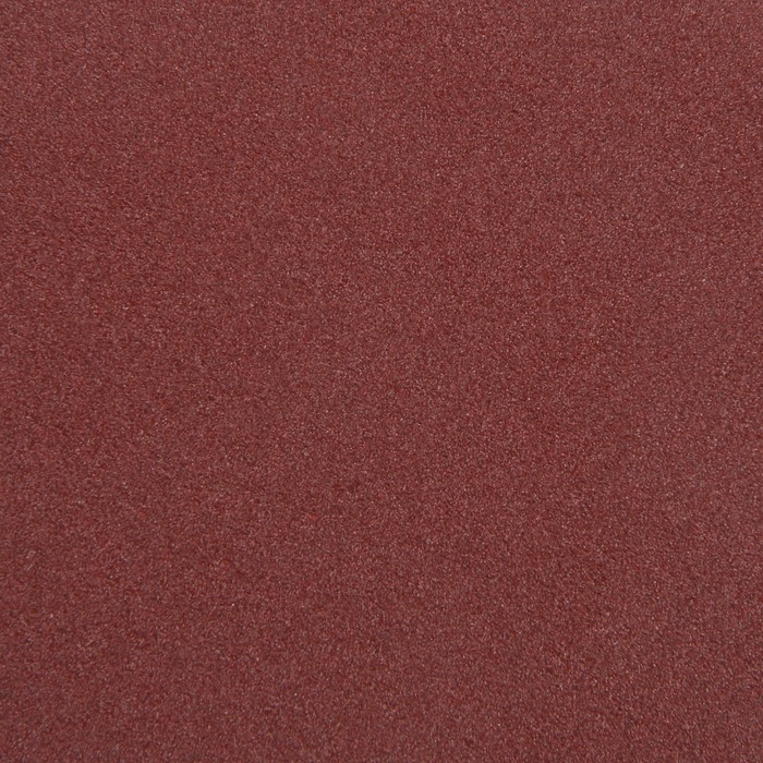 Круг абразивный шлифовальный под "липучку" ТУНДРА, 125 мм, Р100, 10 шт.