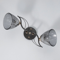 Люстра "Сальма" 2хЕ27 40Вт черный 48х18х24см BayerLux