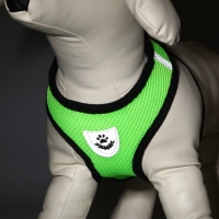 Комплект амуниции с мягкой шлейкой и светоотражающей нашивкой, XL, ОШ 40 см, ОГ 46-60 см, зелёный, 7