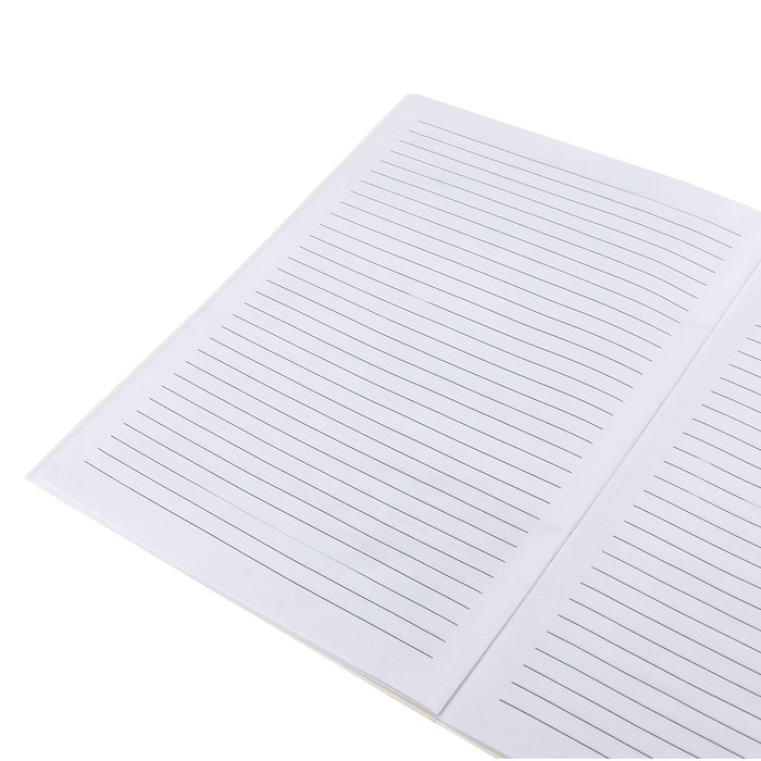 Медицинская карта ребёнка А4 "Классика", форма № 026/у-2000, 16 листов