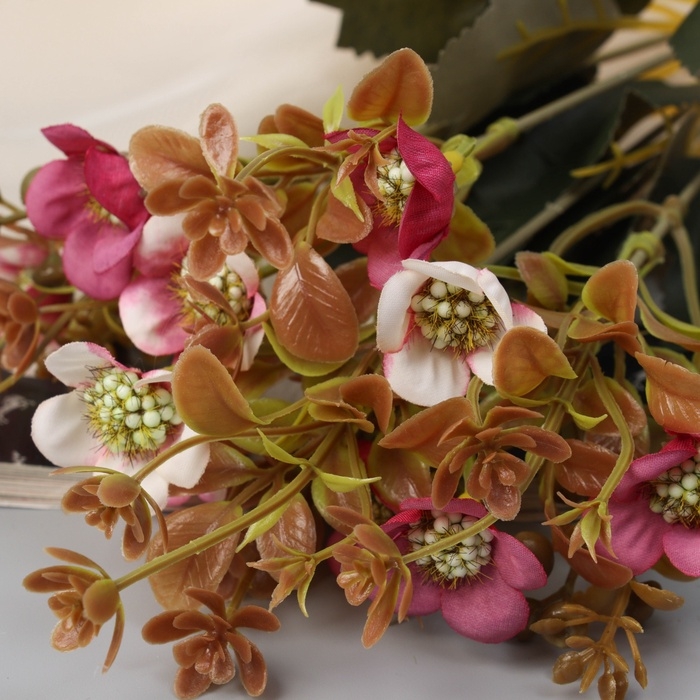 Букет Букет "Морозник галант" 27 см, микс