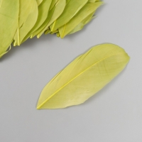 Перо декоративное гусиное "Зелёное" в форме листа набор 40 шт h=5-7 см Перо декоративное гусиное "Зелёное" в форме листа набор 40 шт h=5-7 см