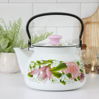 Чайник сферический, 3 л, индукция, деколь МИКС, цвет белый Чайник сферический, 3 л, индукция, деколь МИКС, цвет белый