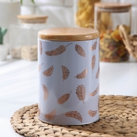 Банка для хранения сыпучих продуктов &laquo;Перо&raquo;, 11&times;11&times;15,5 см, цвет лавандовый