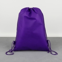 Мешок для обуви &laquo;1 сентября: Super speed&raquo; нетканное полотно, размер 30 х 40 см