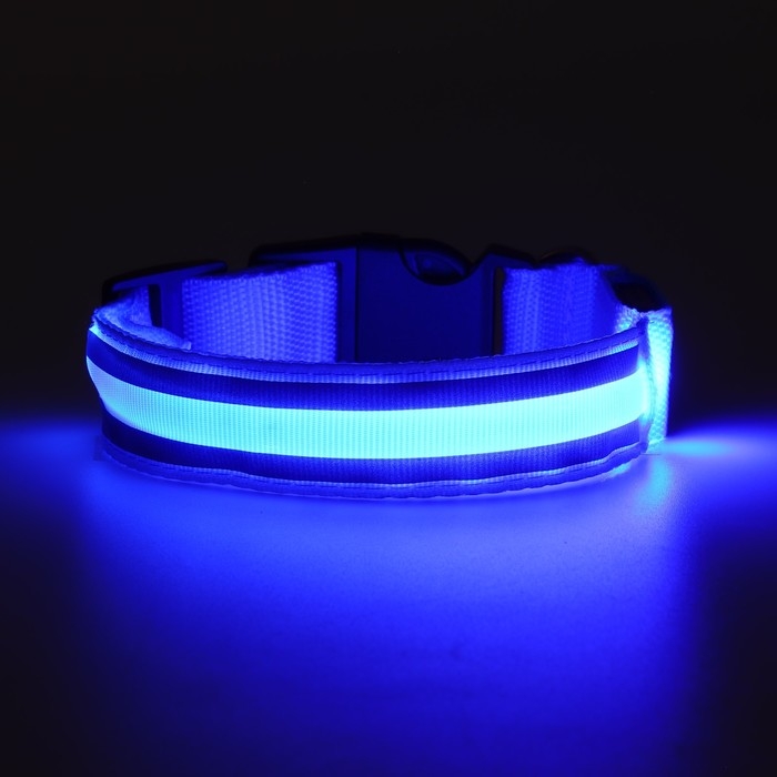 Ошейник с подсветкой Двойная полоса размер S, ОШ 35-43 х 2,5 см, 3 режима свечения голубой Ошейник с подсветкой Двойная полоса размер S, ОШ 35-43 х 2,5 см, 3 режима свечения голубой
