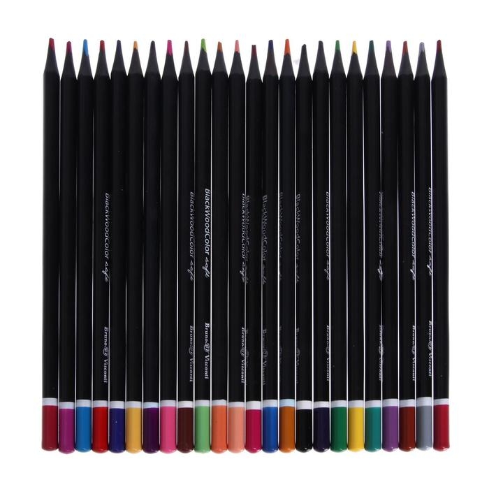 Карандаши 24 цвета BlackWoodColor, пластиковые, трёхгранные, МИКС