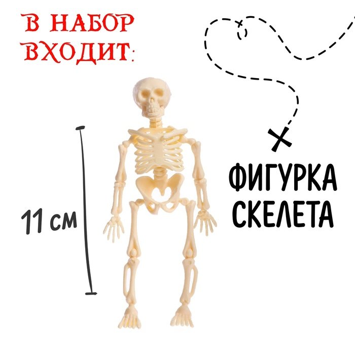 Набор пирата &laquo;Клад&raquo;, 22 предмета