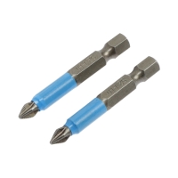 Биты ТУНДРА, намагниченные, сталь CrV, PH1 х 50 мм, 2 шт. Биты ТУНДРА, намагниченные, сталь CrV, PH1 х 50 мм, 2 шт.