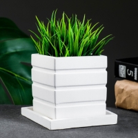 Фигурное кашпо "Куб горизонталь" с поддоном, белый, 0 25 л/ 8х6х6см Фигурное кашпо "Куб горизонталь" с поддоном, белый, 0 25 л/ 8х6х6см