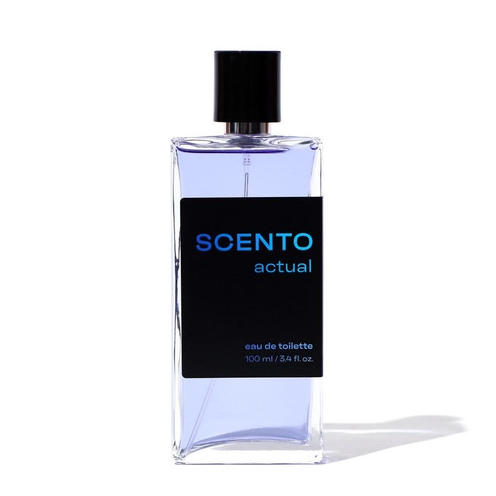 Туалетная вода мужская Dilis Scento Actual, 100 мл
