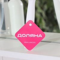 Водосгон силиконовый Доляна &laquo;Помощник&raquo;, 25&times;21 см, цвет МИКС