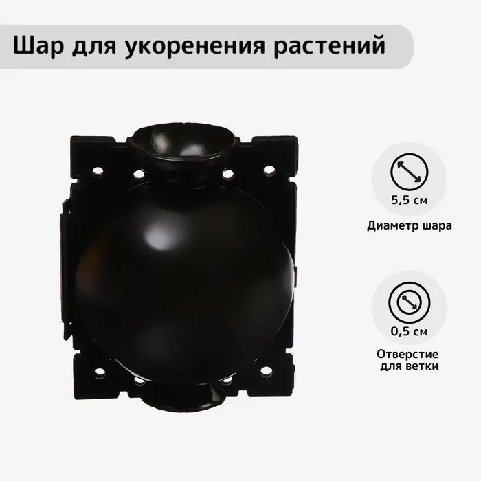 Шар для укоренения растений, d = 5,5 см, под ветку 0,5 см, чёрный, Greengo