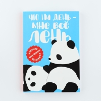 Дневник творческого человека А5, 120 л. «Панда» Дневник творческого человека А5, 120 л. «Панда»