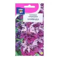 Набор семян Монарда гибридная "Ламбада", 5 шт.