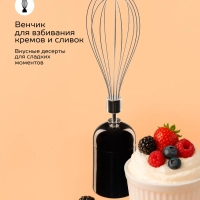 Кухонный погружной блендер измельчитель 4в1 SC-HB42M47