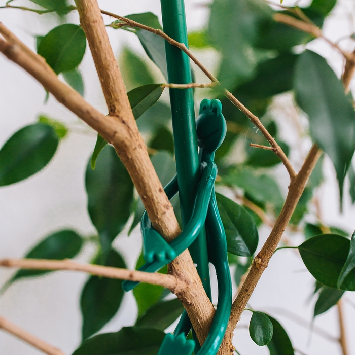 Подвязка для растений &laquo;Лягушка&raquo;, набор 2 шт., зелёная, Greengo