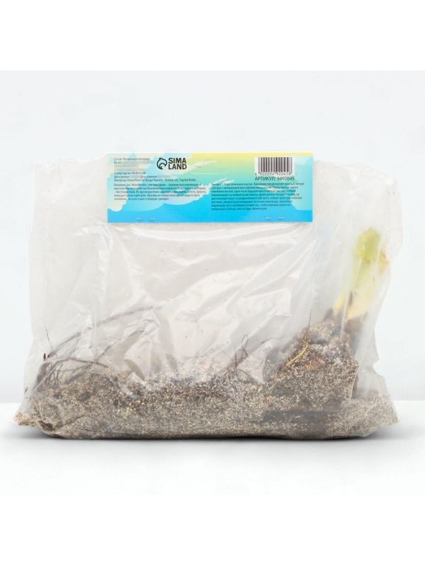 Лилейник Double Creamy Wonder, многолетник, корневище в пакете с торфогрунтом, р-р I, 1 шт.