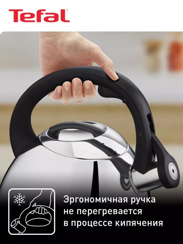 Чайник для плиты Duetto+ N4180110, 2.7 л, стальной