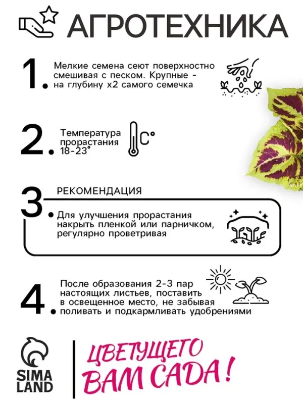 Семена цветов Колеус "Фейерверк" Мозаика F1, О, 10 шт