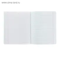 Тетрадь 12 листов в линейку &laquo;Зелёная обложка&raquo;, с алфавитом, 60 г/м&sup2;, белые листы, термоупаковка 25 шт.