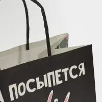 Пакет подарочный новогодний &laquo;А ты держись&raquo;, 22 х 22 х 11 см