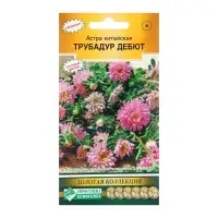 Семена цветов Астра китайская "Трубадур Дебют", 10 шт