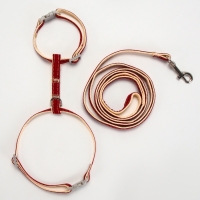 Комплект амуниции "Жаккард", поводок 120 х 1 см, красный