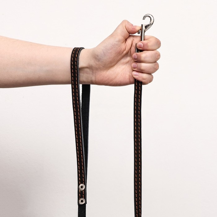 Поводок кожаный однослойный, простроченный, 1.41 м х 1.2 см, черный Поводок кожаный однослойный, простроченный, 1.41 м х 1.2 см, черный