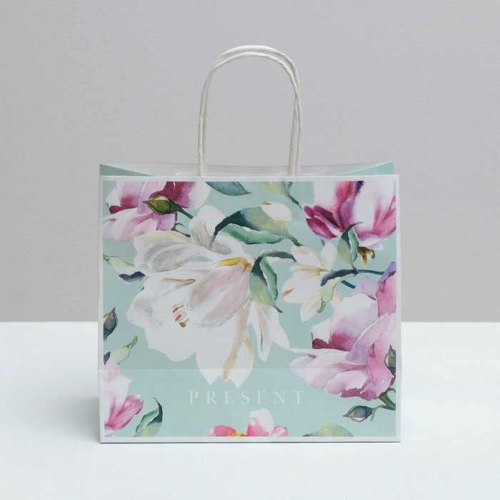 Пакет подарочный крафтовый, упаковка, &laquo;Present&raquo;, 25 х 22 х 12 см