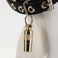 Адресник для вложения записки Адресник для вложения записки